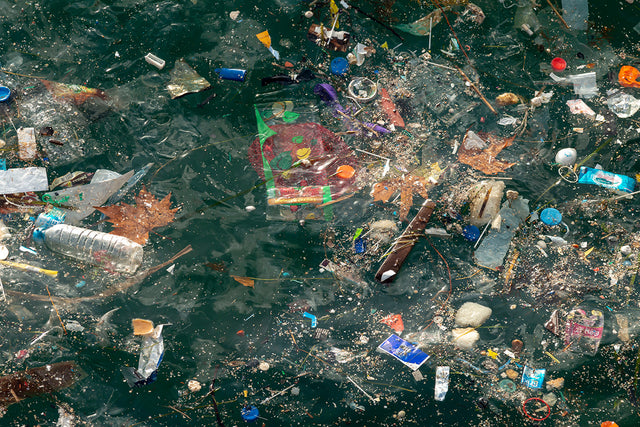 Plastik im Meer - Meeresverschmutzung 