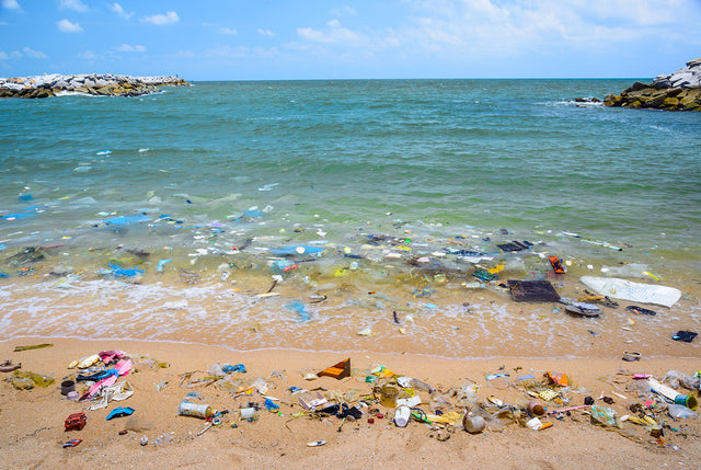 Plastik im Meer und am Strand - Meeresverschmutzung